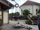Der Maibaum wird händisch mit Scheren aufgestellt<br><small>Benjamin Pohl</small>